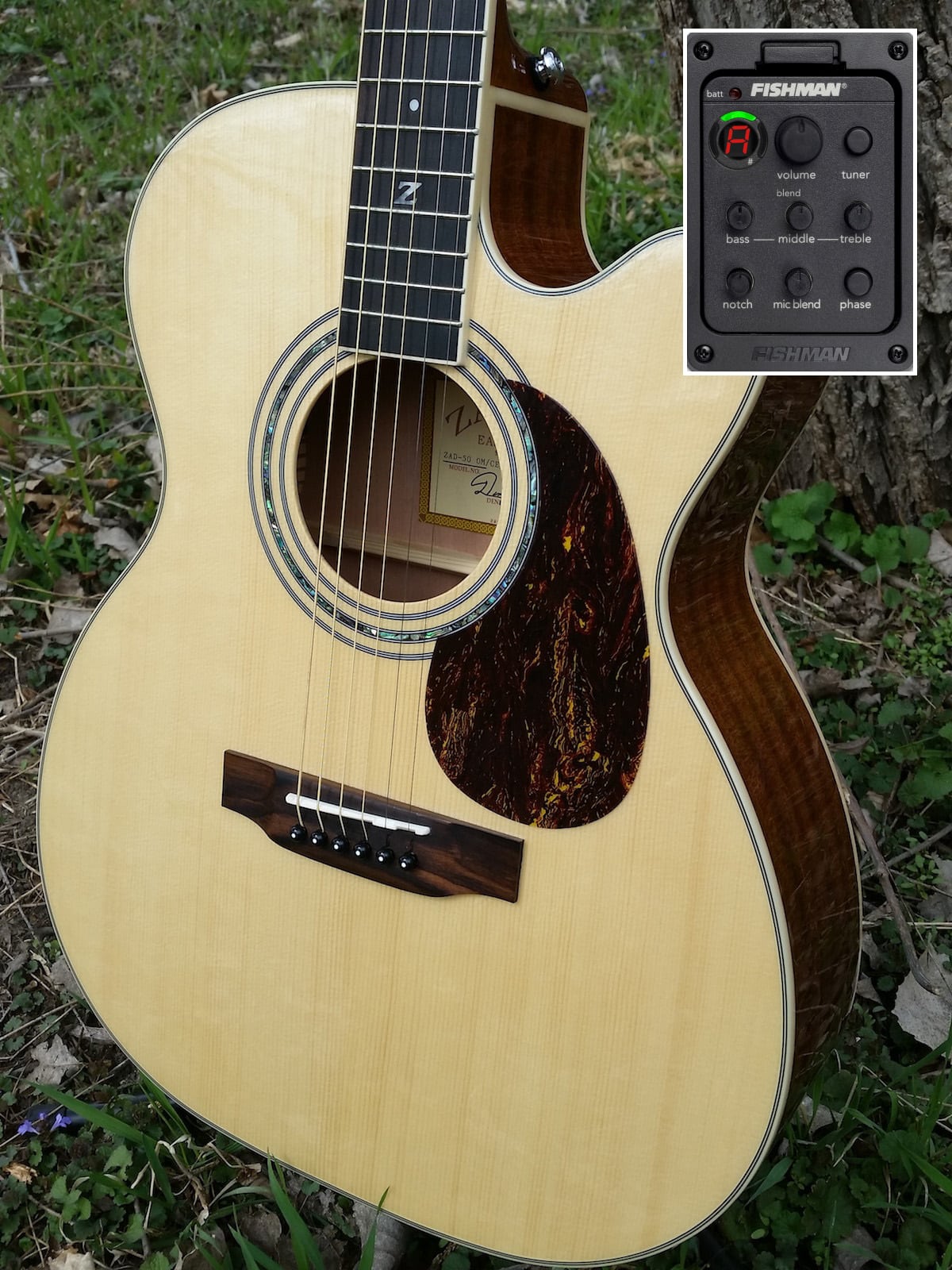 ZAD50CE OM Guitar Zager Guitars