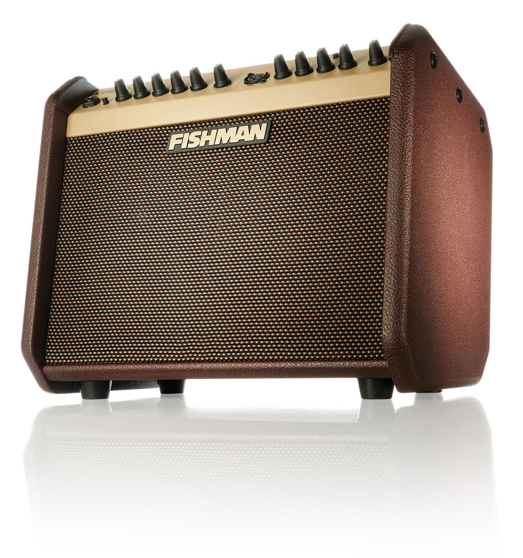 Fishman Loudbox Mini angle hero