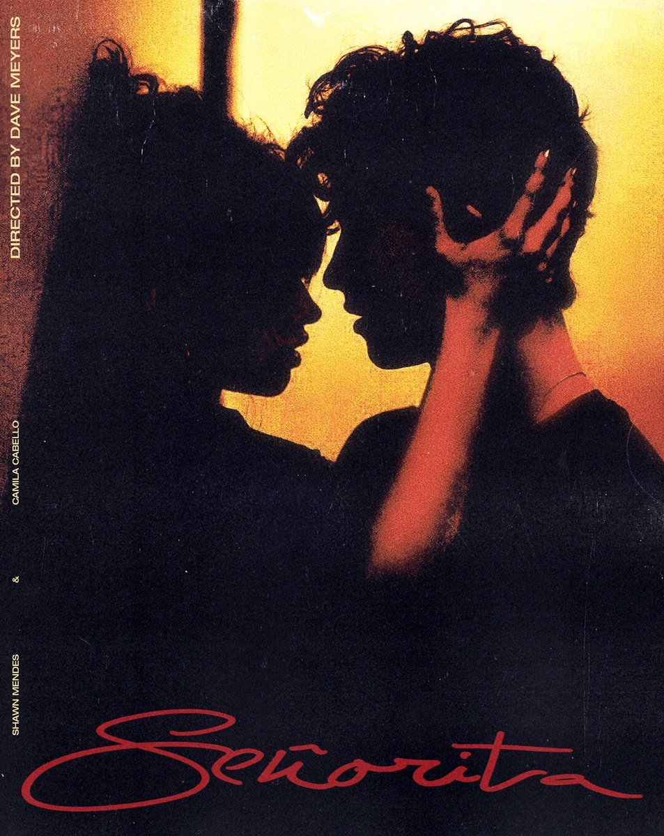 Single Review: Shawn Mendes & Camila Cabello – Señorita | A Bit Of Pop Music