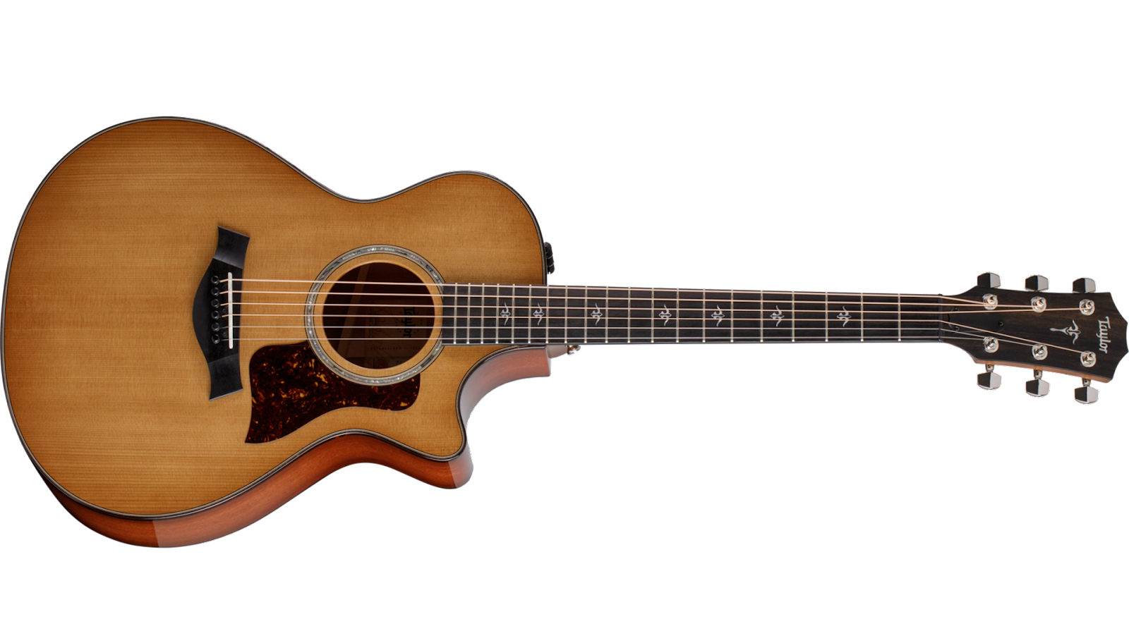 Source Taylor Guitars 
