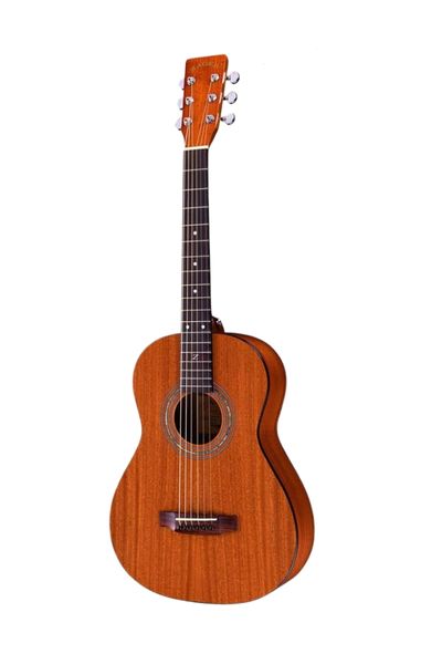 Zager Travel Acoustic-Electric