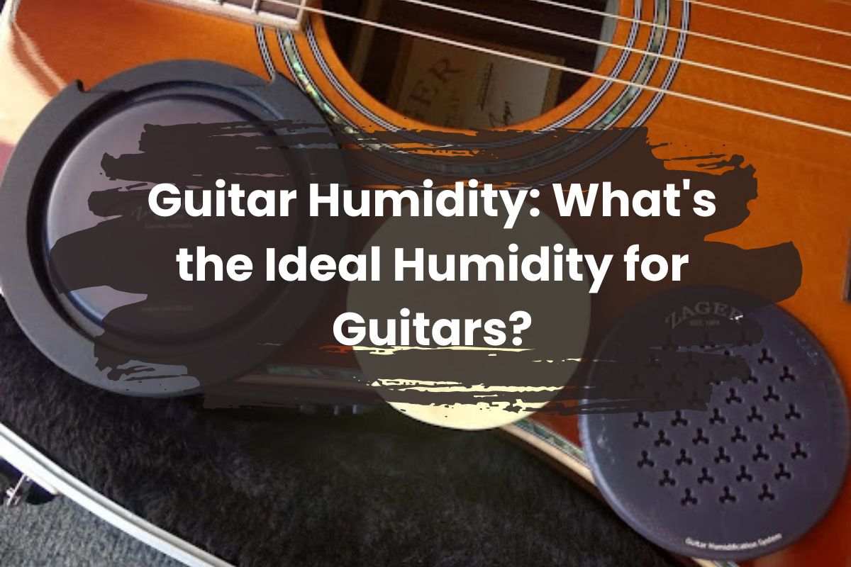 Guitar humidity