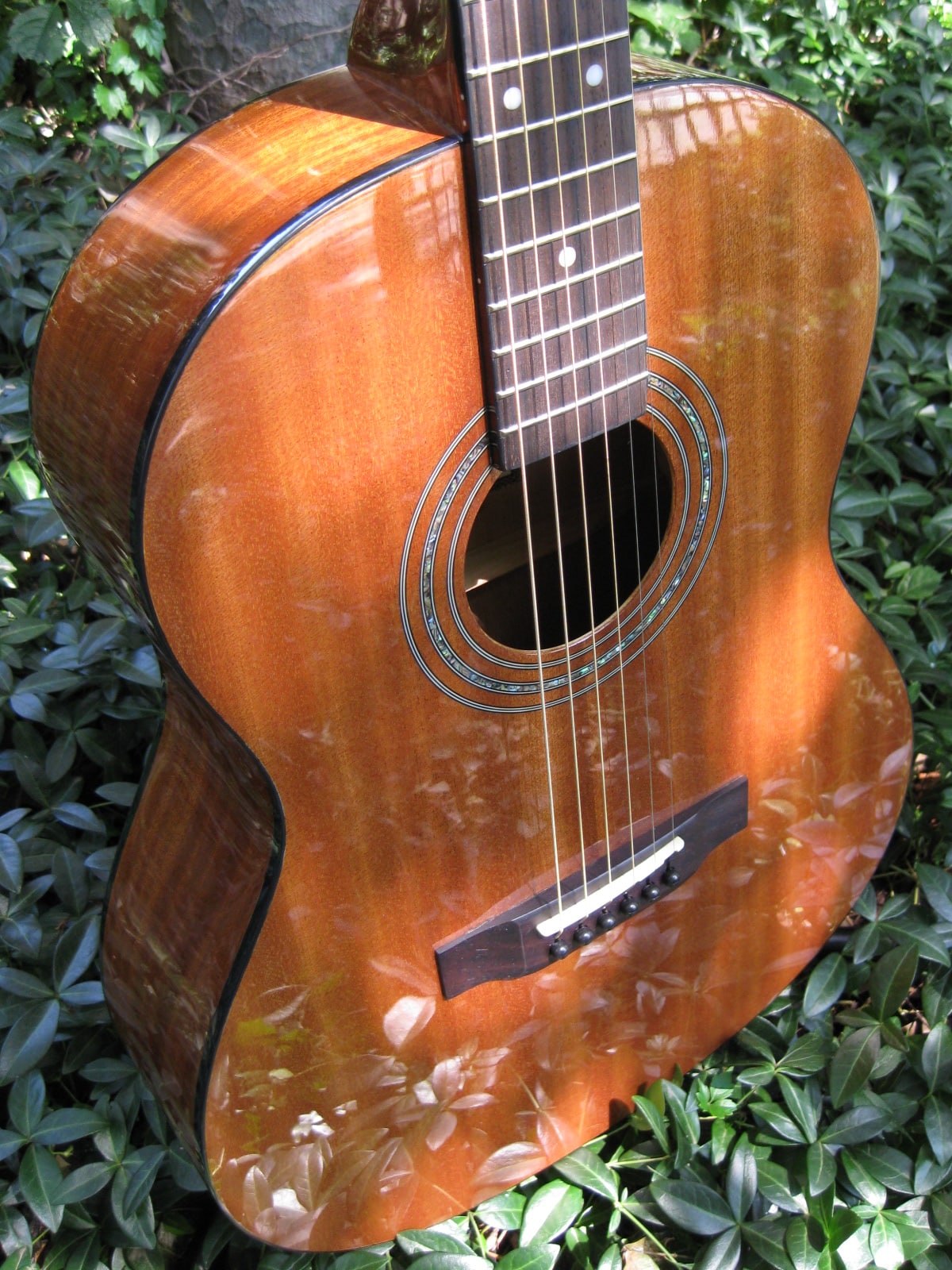 parlor-size-african-mahogany-acoustic-electric-discount-zager-guitars