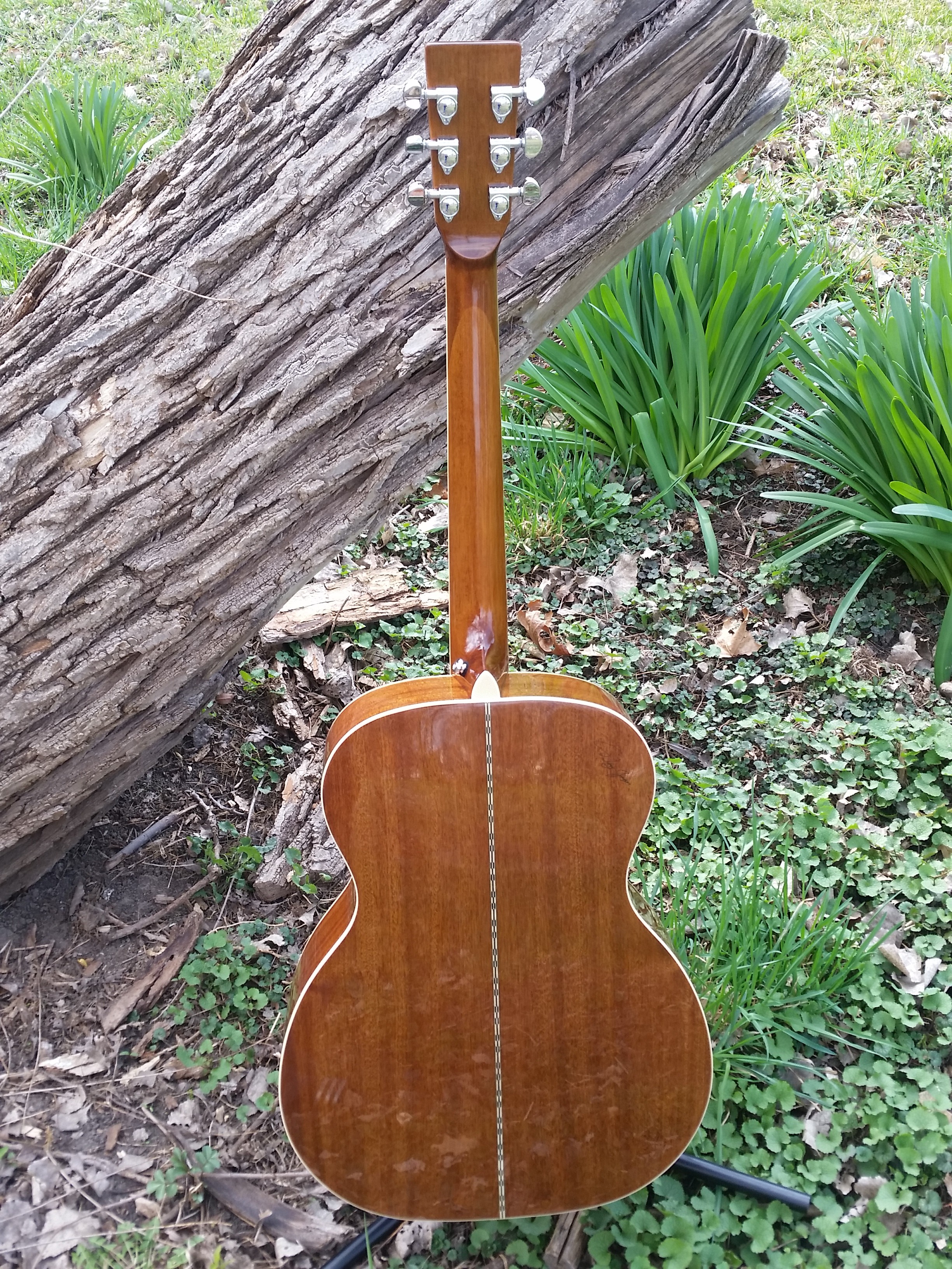 ZAD50 Solid Spruce Acoustic Guitar Zager Guitars