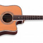 zad80ce acoustic guitar