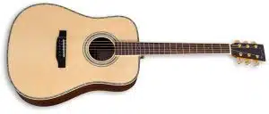 zad900 acoustic guitar