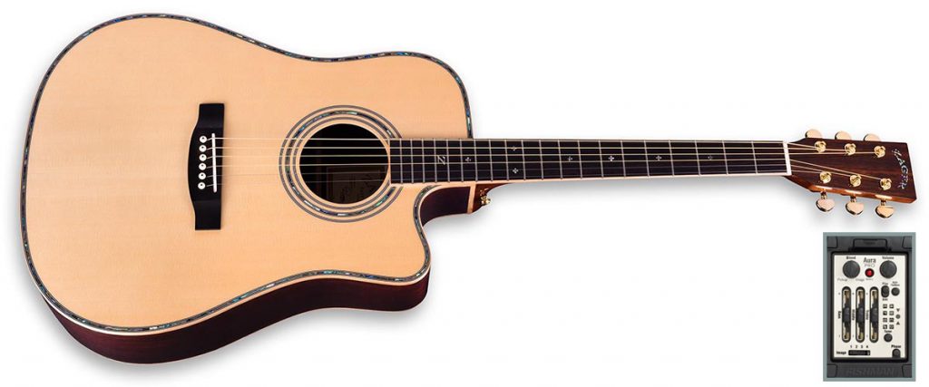 zad900ce acoustic guitar