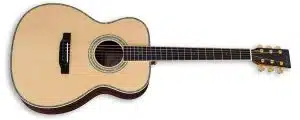 zad900 acoustic guitar