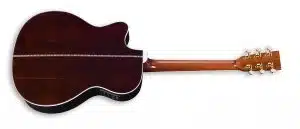 ZAD80CE Solid Cedar/Rosewood Acoustic Electric AURA Pro Series Smaller “OM” Size Pre Order