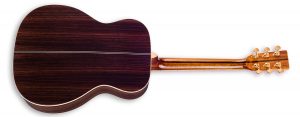 ZAD900 Solid Spruce/Rosewood Acoustic Pro Series Smaller “OM” Size BOGO