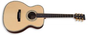 ZAD900 Solid Spruce/Rosewood Acoustic Pro Series Smaller “OM” Size
