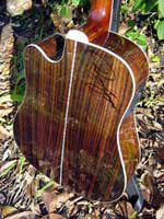 guitar back sides rosewood