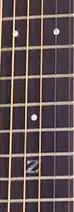 fret dots