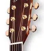 indian rosewood headstock