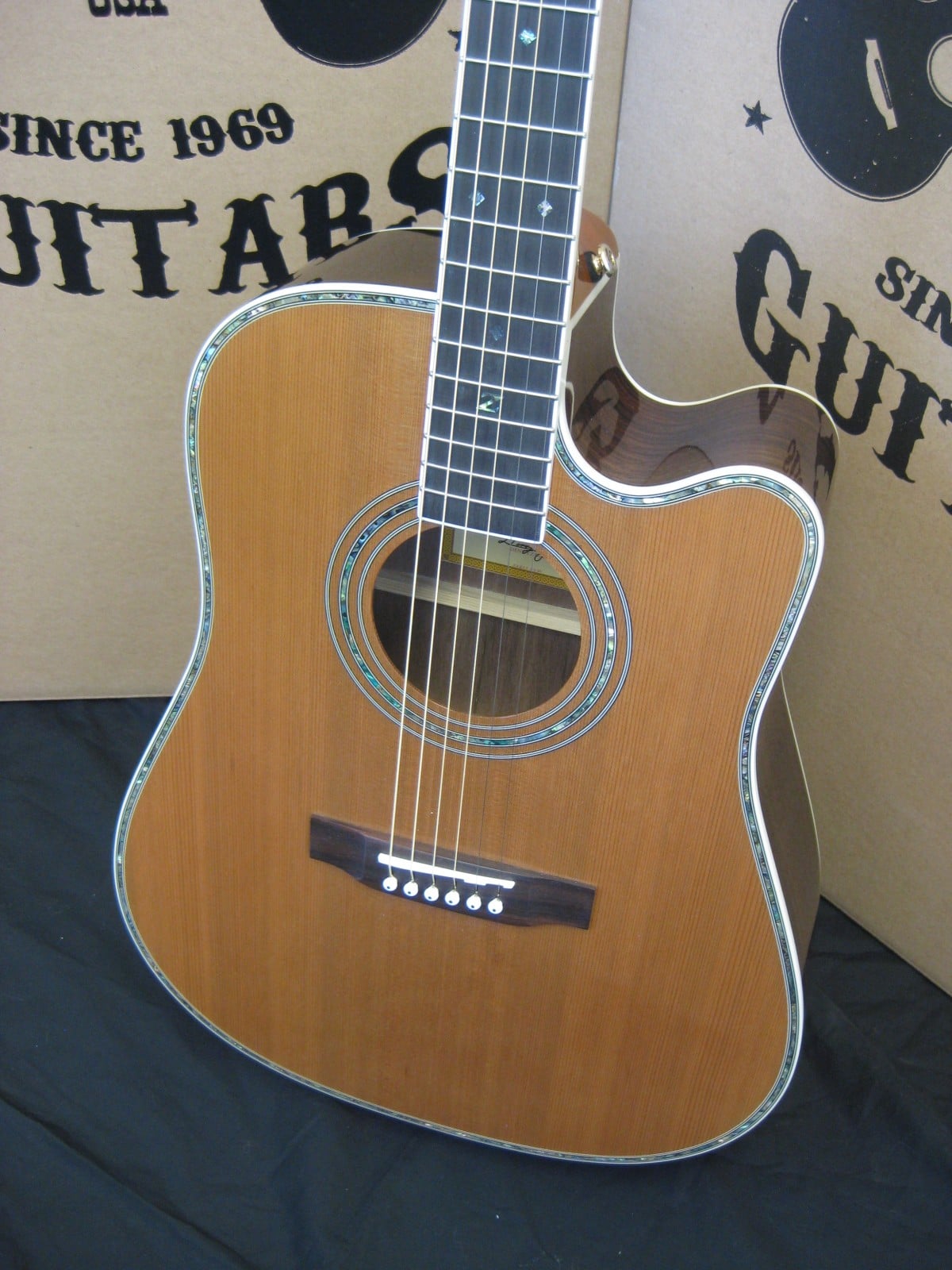 IMG_7948 Zager Guitars