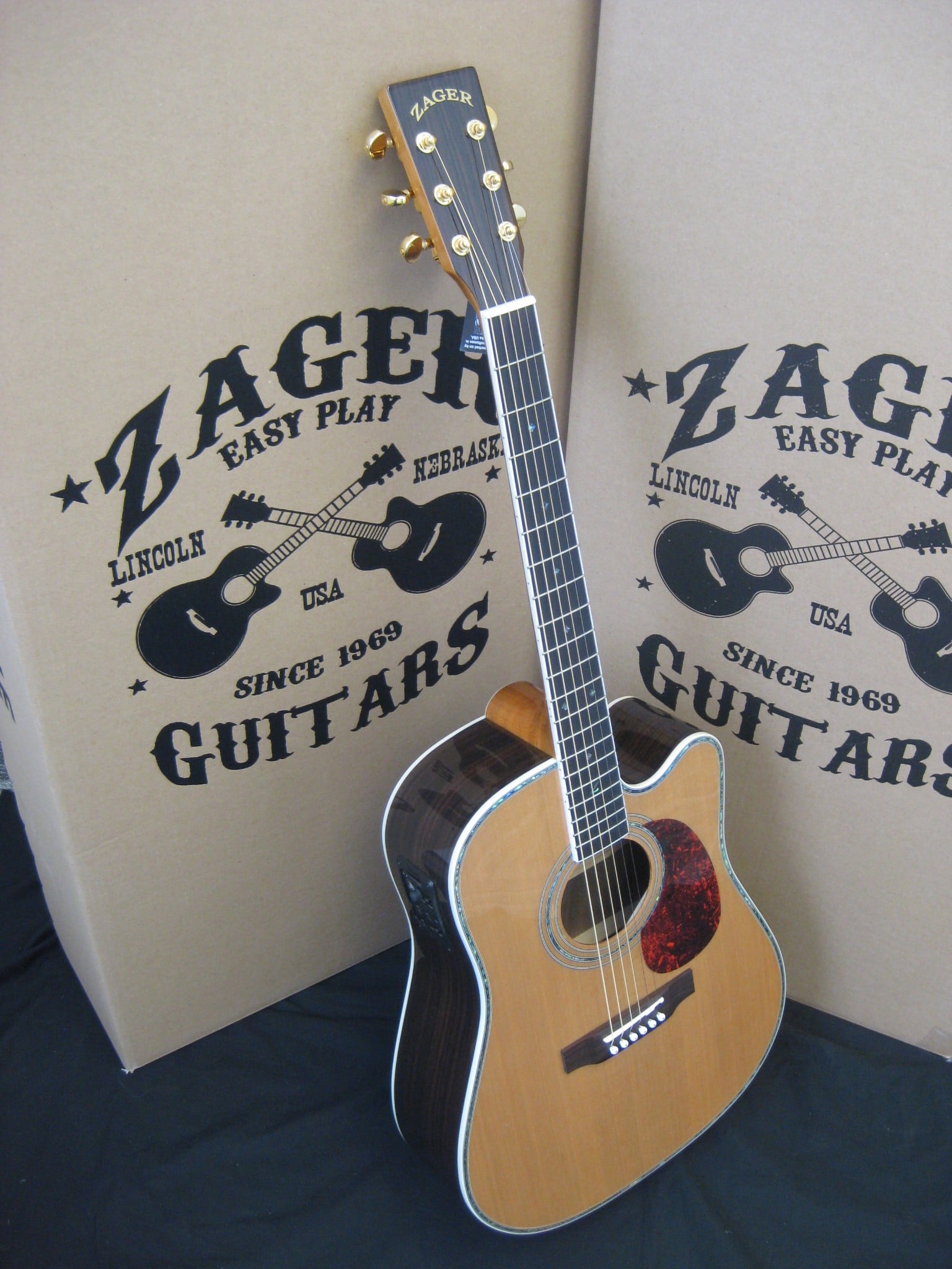 IMG_8065 Zager Guitars