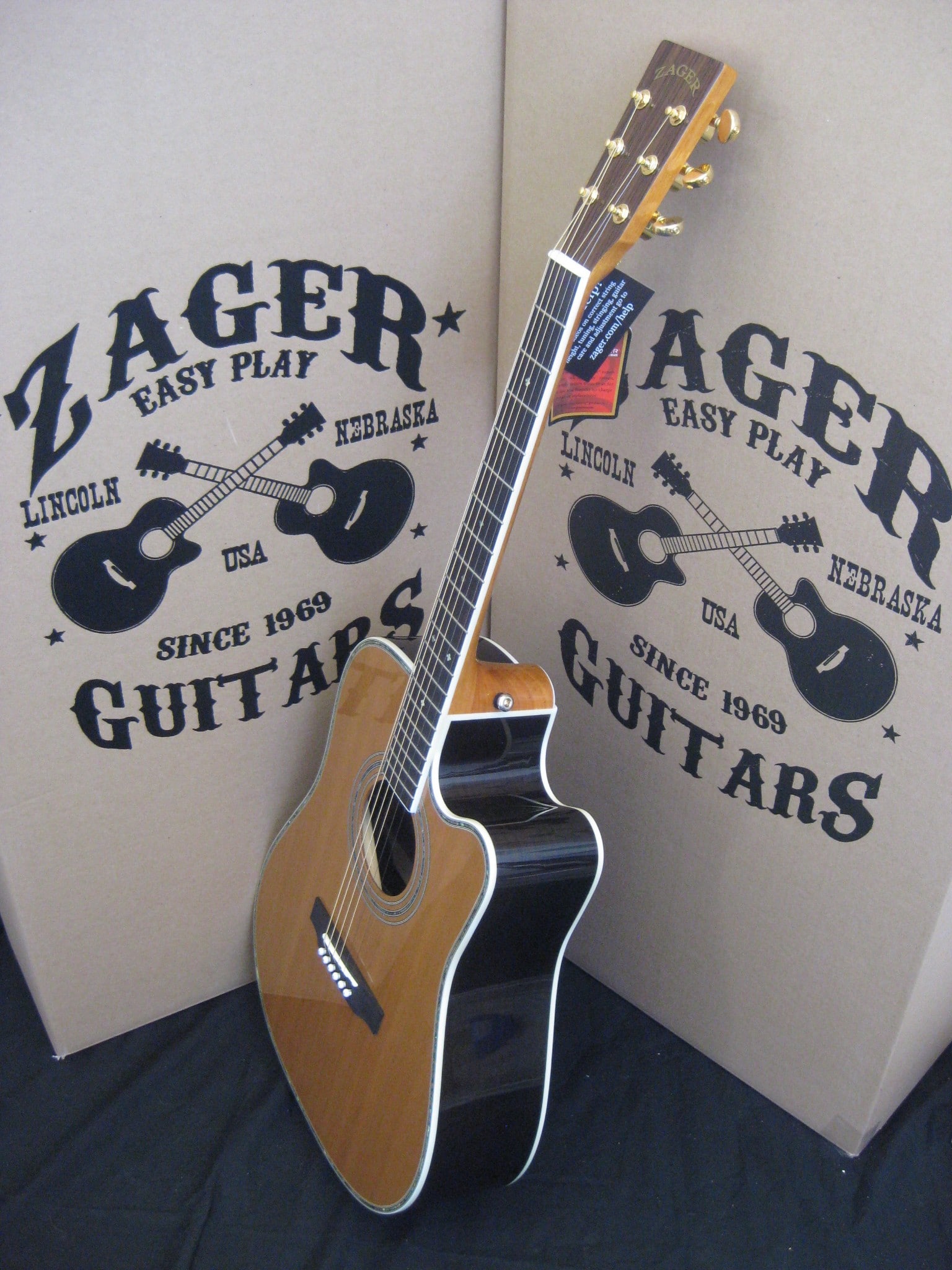 IMG_8509 Zager Guitars