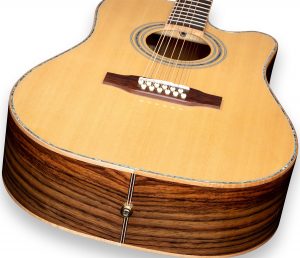 ZAD900CE 12 String Solid Spruce/Rosewood Acoustic Electric AURA Pro Series