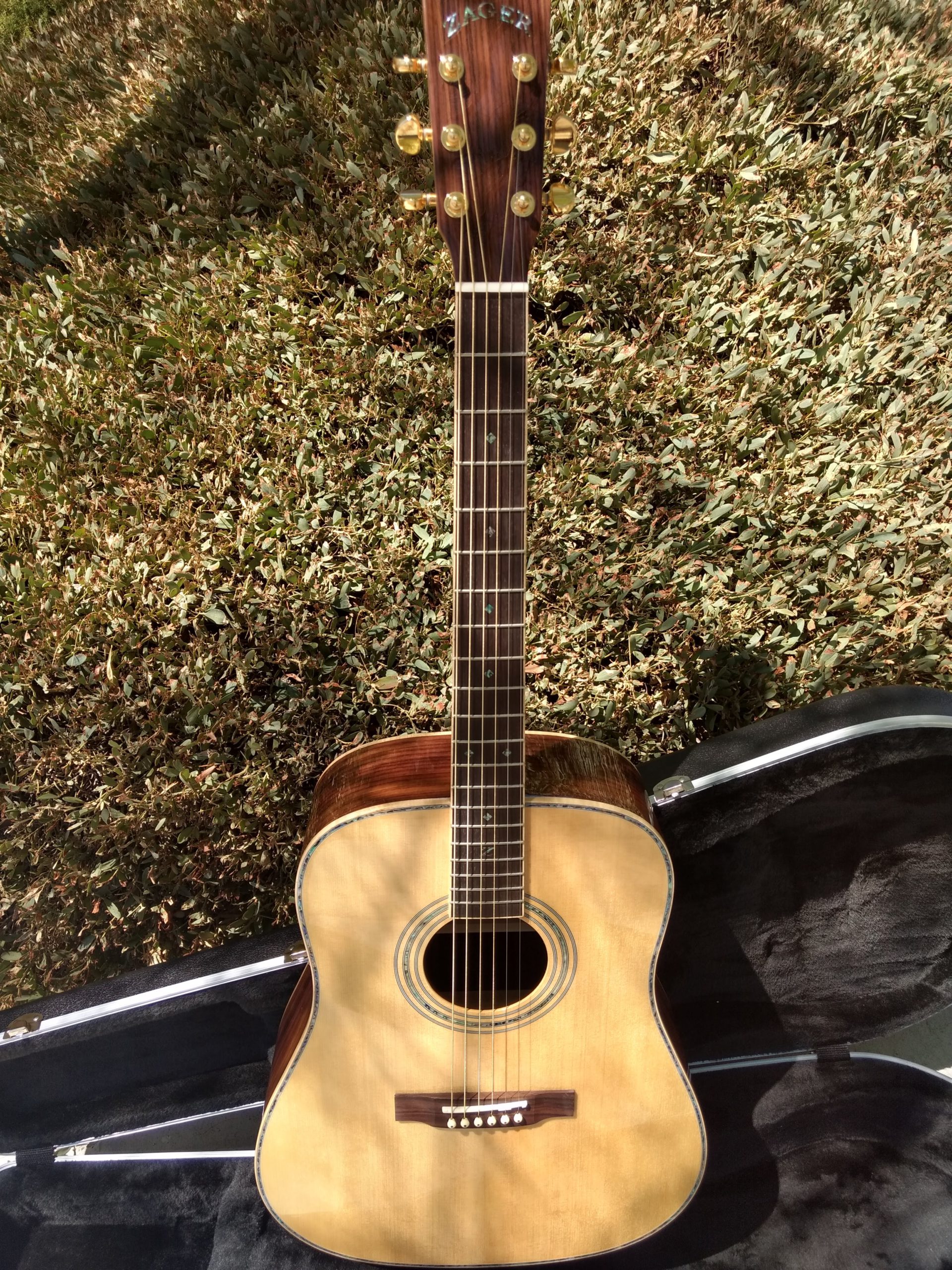 ZAD900 Solid Spruce/Rosewood Acoustic Pro Series (Discount)