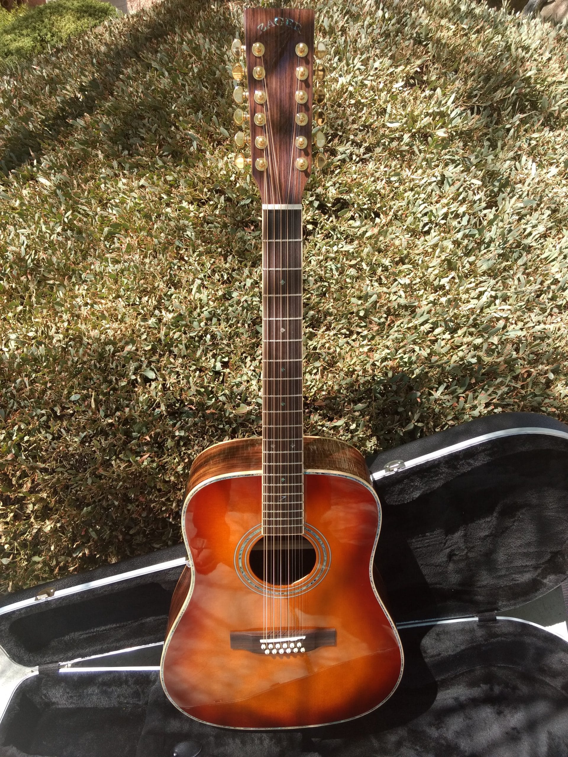 2035 ZAD900 EVS 12String Zager Guitars