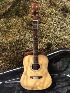 ZAD900E Solid Spruce/Rosewood Acoustic Electric AURA Pro Series Full Box