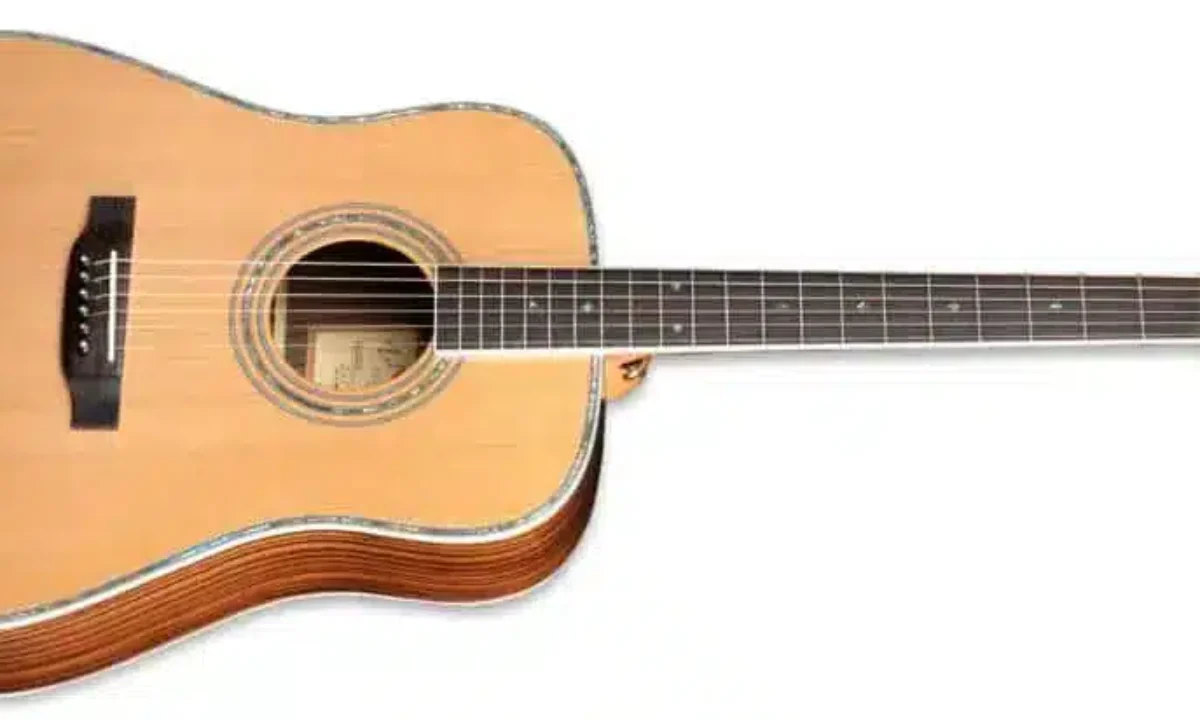 Easy Play ZAD80 Solid Cedar/Rosewood Acoustic & Electric Pro