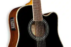 ZAD900CE 12 String Black Deal of the Day