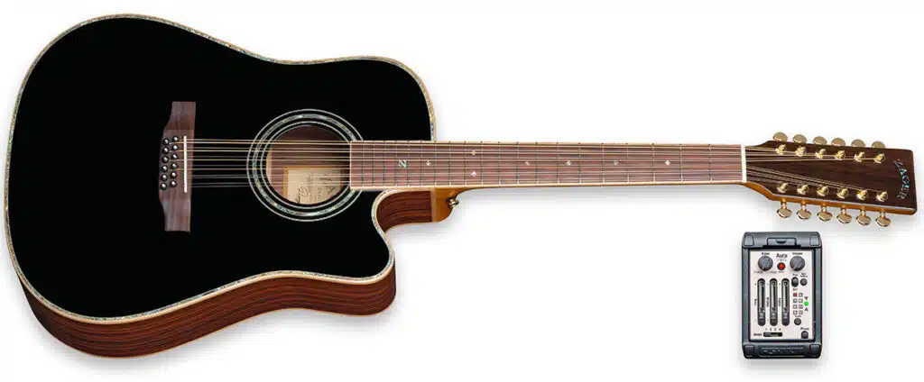 ZAD900CE 12 String Black Deal of the Day