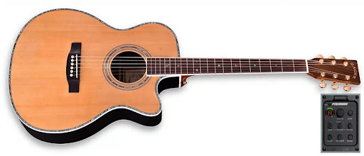 rosewood electric guitar
