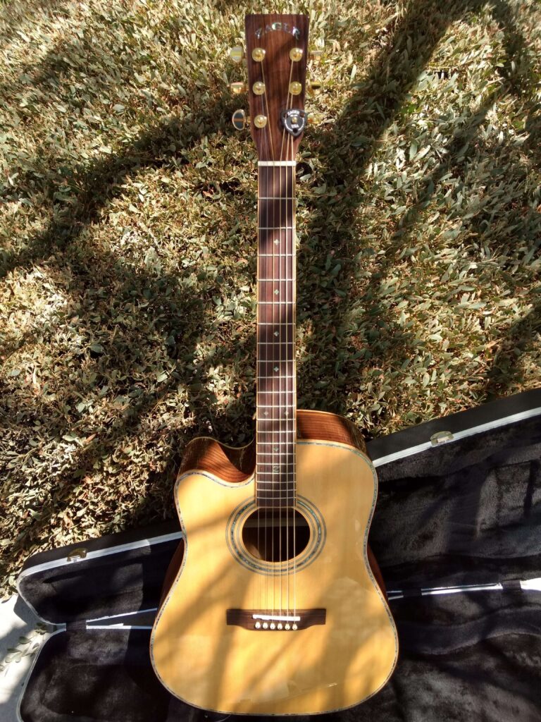 ZAD900CE Solid Spruce/Rosewood Acoustic Electric AURA Left Handed Pro Series (Discount)