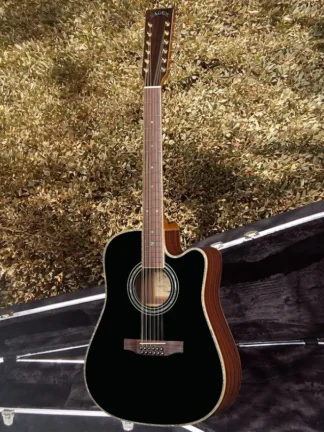ZAD900CE 12 String Solid Spruce/Rosewood Acoustic Electric AURA Black Lacquer Pro Series (Discount)