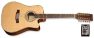12 String ZAD 900 CE