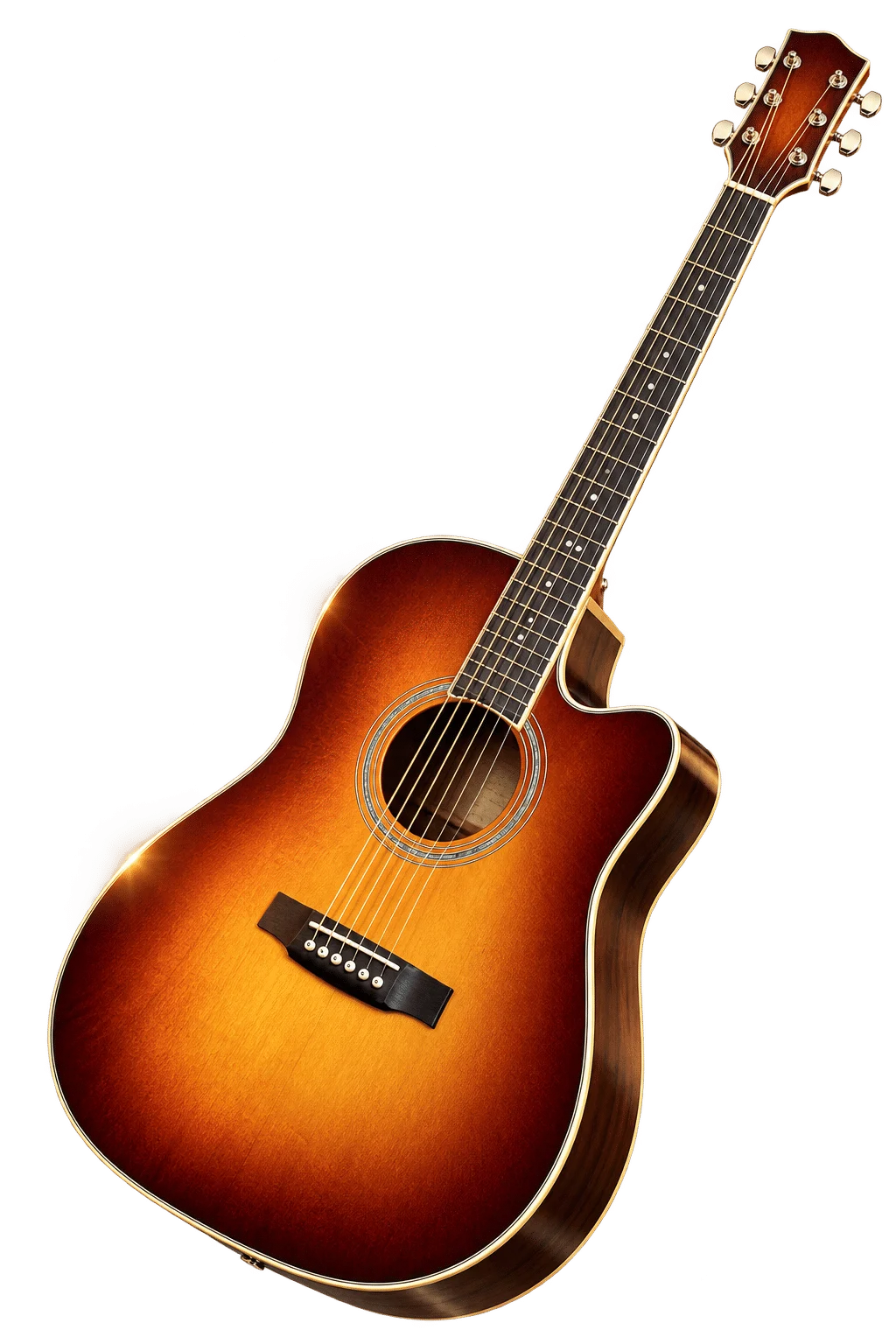 zager guitar
